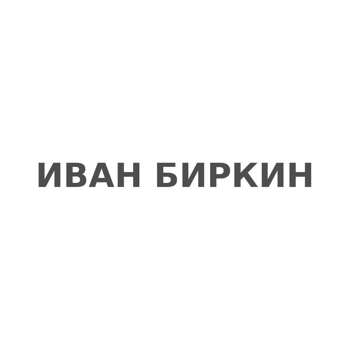 Birkin Logo