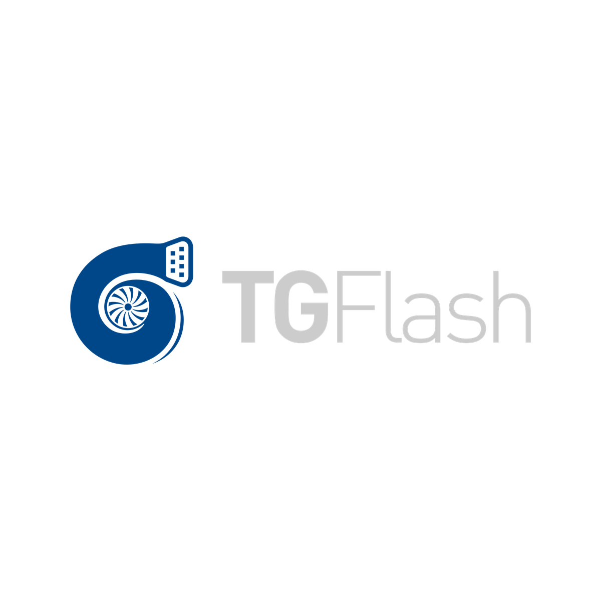 TG Flash Logo